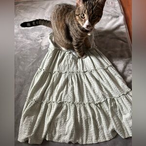 Tiered Eyelet Midi Dress in Pale Green - Unbranded